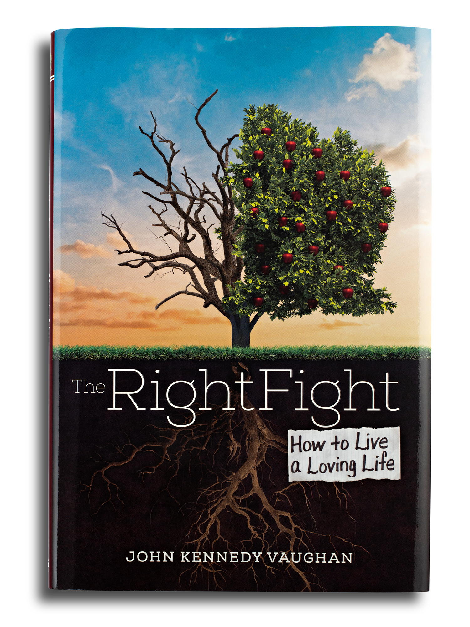 right-fight-book-study-guide-bundle.jpg The Right Fight, How To Live A Loving Life book and study guide bundle